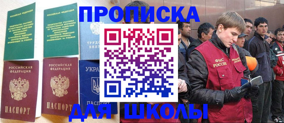 прописка 2025 в Нелидово